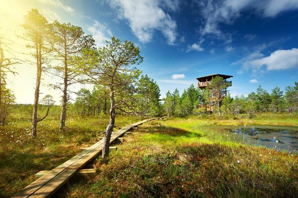 Lahemaa nationalpark och informationscentrum