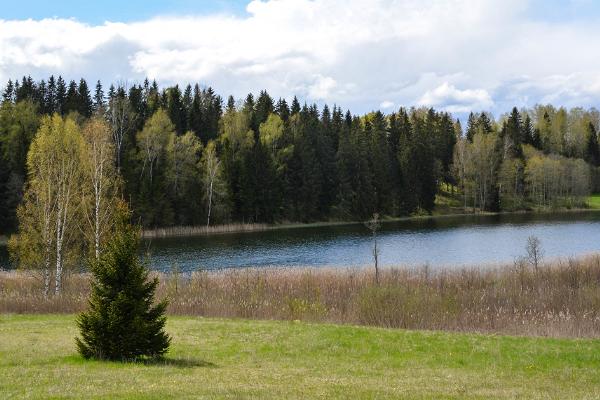 Hiking trail in the Rõuge Primeval Valley