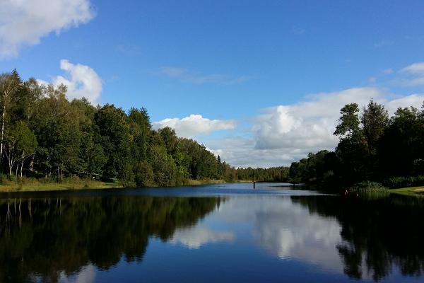 Rava tammik ja järv