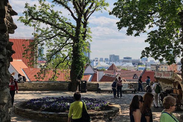 Danish King's Garden