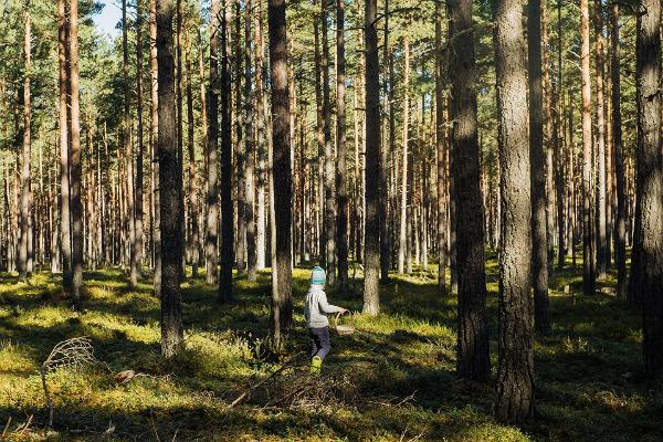 Sõõriksoo loodusrada