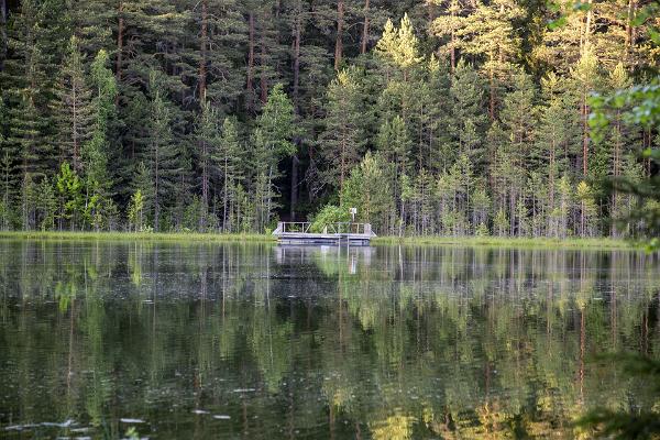 Återspegling av insjön Vaikne