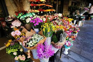 Таллиннский цветочный рынок