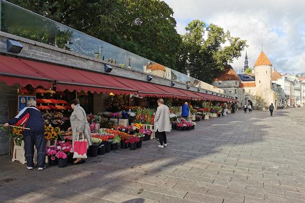 Viru tänava lillekioskid