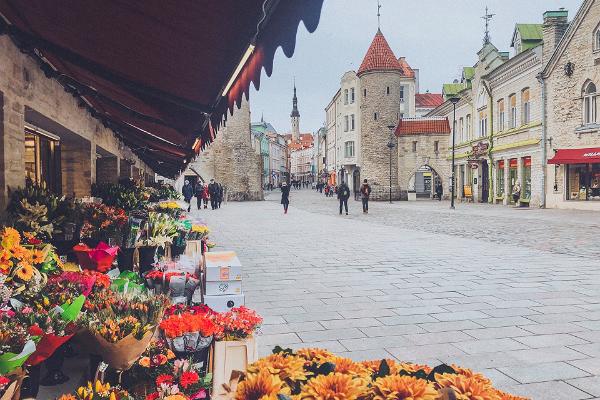 Der Tallinner Blumenmarkt