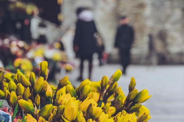 Der Tallinner Blumenmarkt