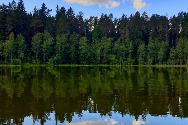 Vaikse järve peegeldus