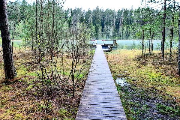 Badplatsen vid insjön Vaikne, badbryggan