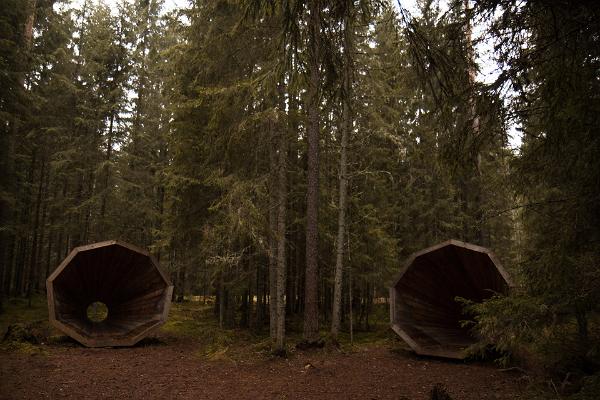 Forest megaphones in Võru County