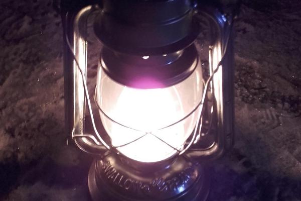 Приключенческий поход «С фонарем по ночному лесу» в зоне отдыха Элва