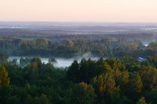 Meremäe Viewing Tower