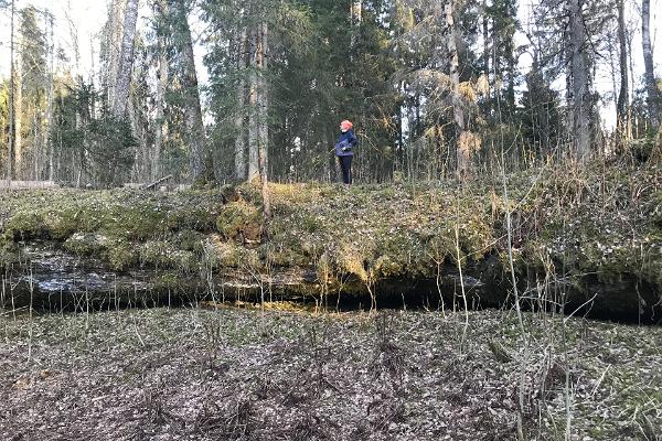 Kuimetsa karstiala koopad ja õpperada