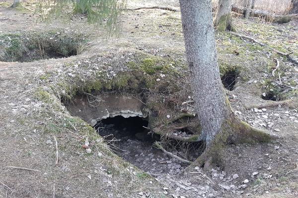 Kuimetsa karstiala koopad ja õpperada