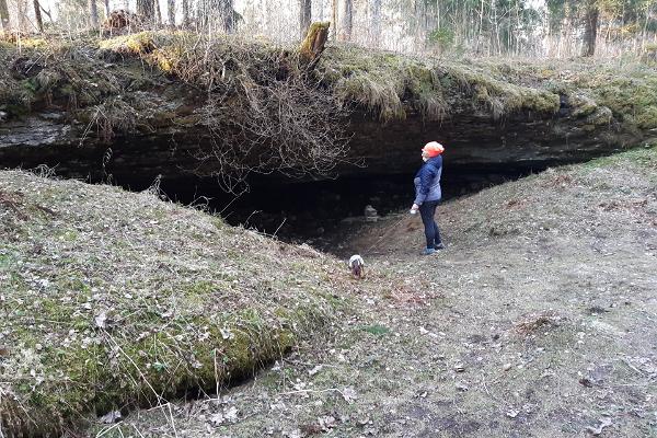 Kuimetsa karstiala koopad ja õpperada