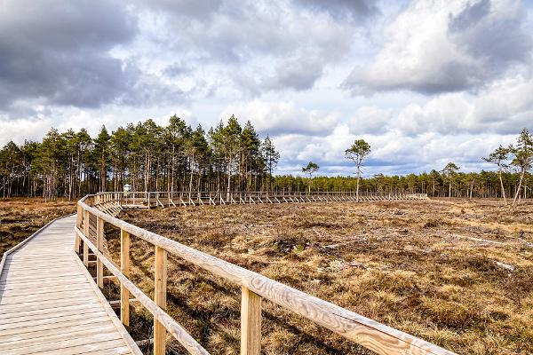 Tudu bog lake and forest hut