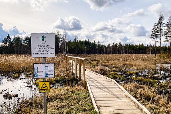 Tudu meža mājiņa un purva ezers