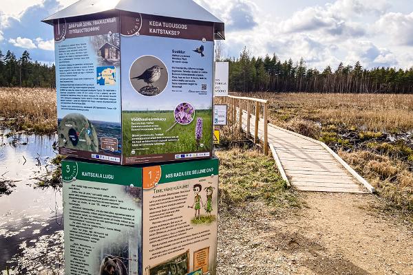 Tudu bog lake and forest hut