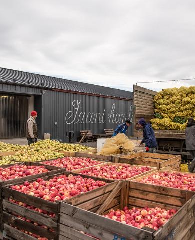 Visit to Jaanihanso Cider House 