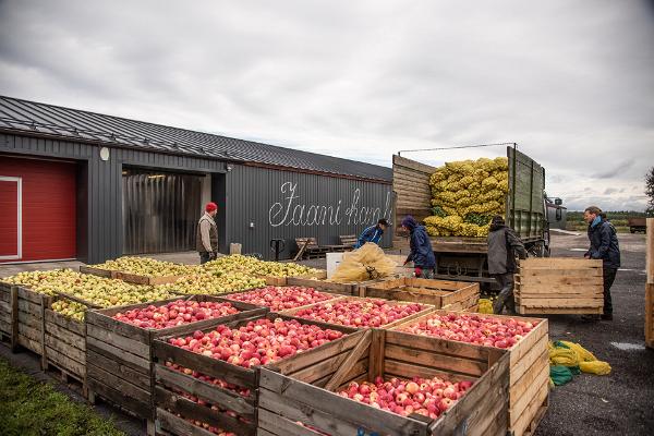 Besuch der Cidre-Fabrik Jaanihanso