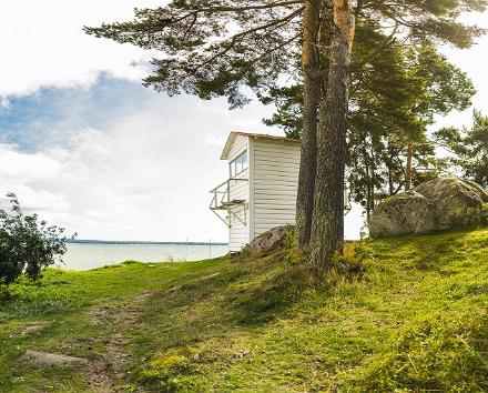 Guidad tur över norra Estlands pärlor och musik: Arvo Pärt Centret och parken och vattenfallet i Keila-Joa