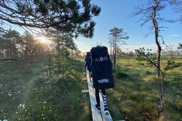 SUP board hike in Kakerdaja bog