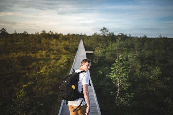 Naturtur: I Lahemaa nationalpark ser man karakteristiska landskap för Estland