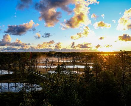 Naudi loodust Põhja-Eestis