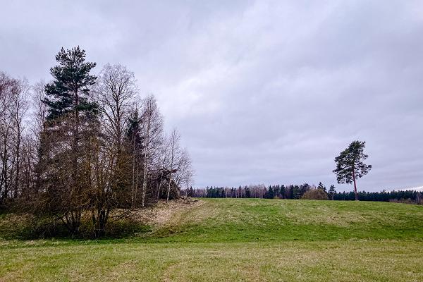 Steinzeit-Siedlung Lammasmäe