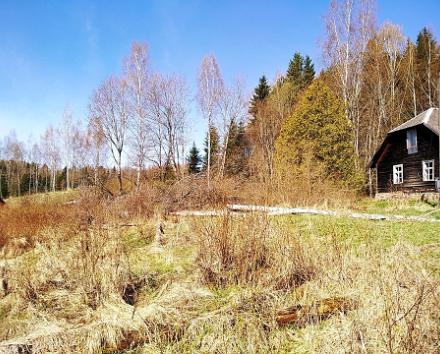 Rundtur i Estland för naturintresserade