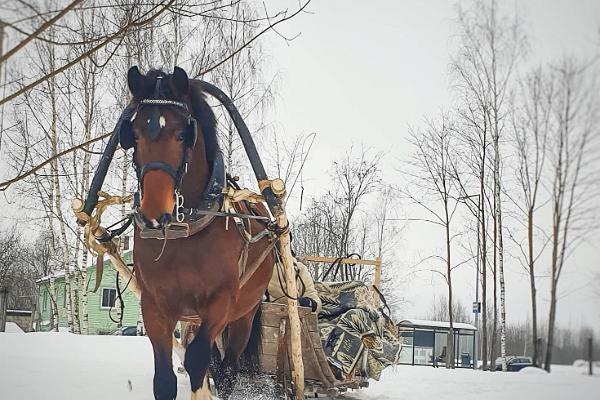 J. Kallaste barouche and sleigh rides