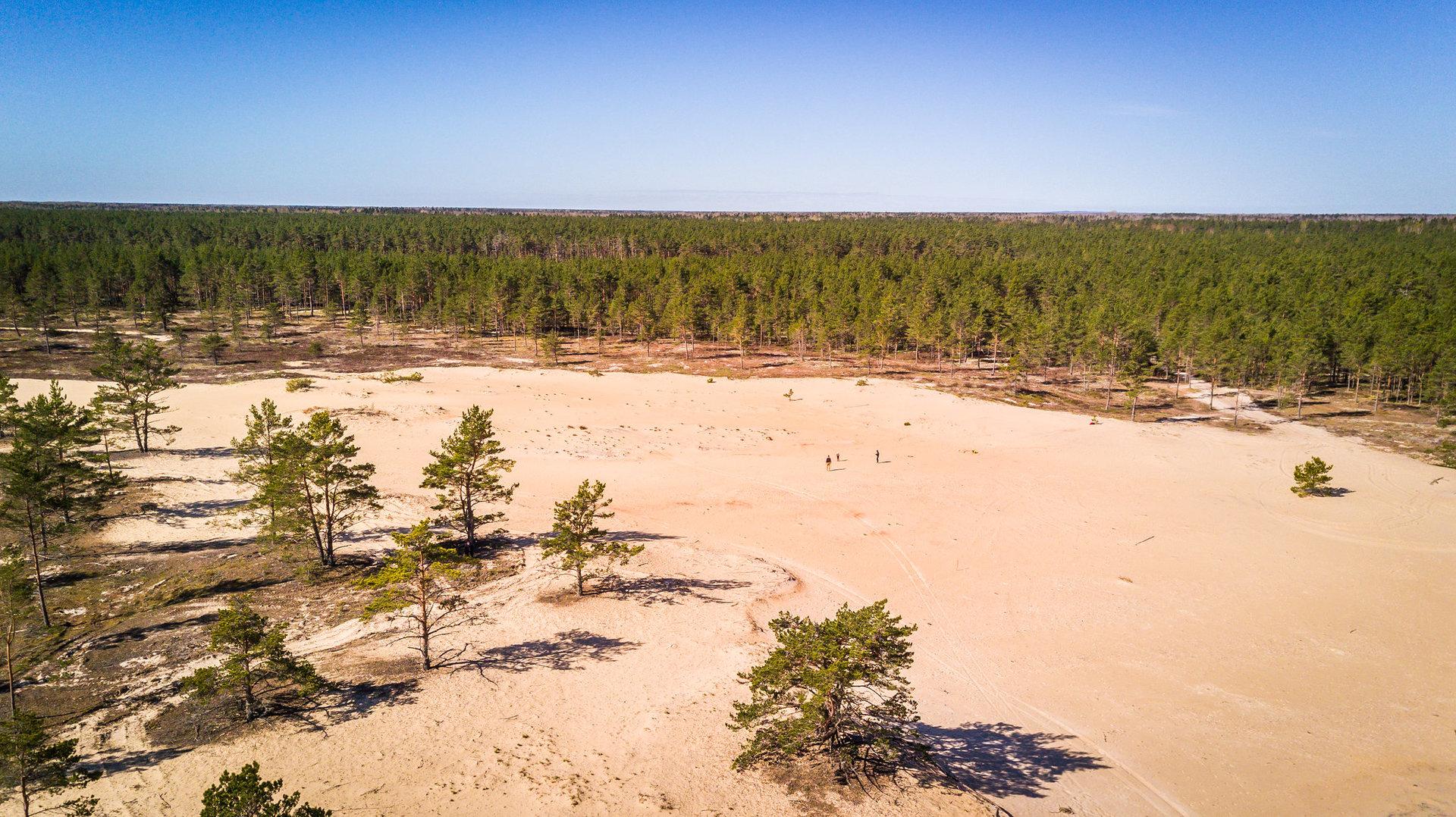 Omal käel autotuur "Avasta Hiiumaa salajased looduspaigad"