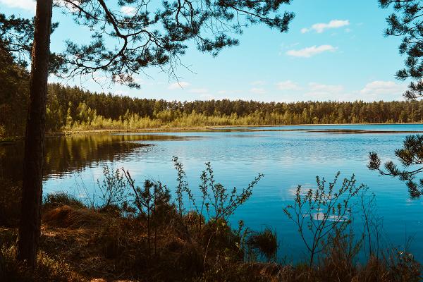 Lake Valguta Mustjärv