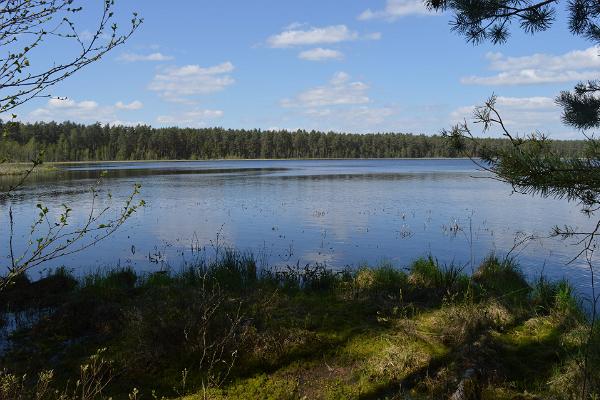 Näkymä Mustjärvelle