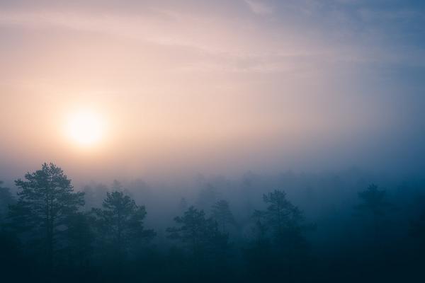 Eestimaa päikesetõusust päikeseloojanguni: Raba eri