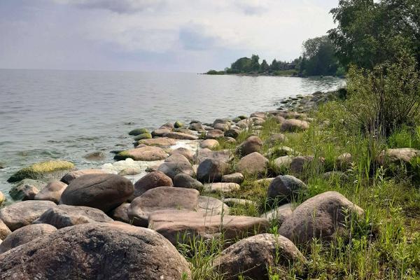 Каменная россыпь, или Мост Калевипоэга, в деревне Нина