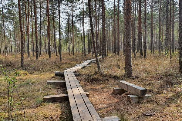 Väätsa Nature Reserve, hiking trail