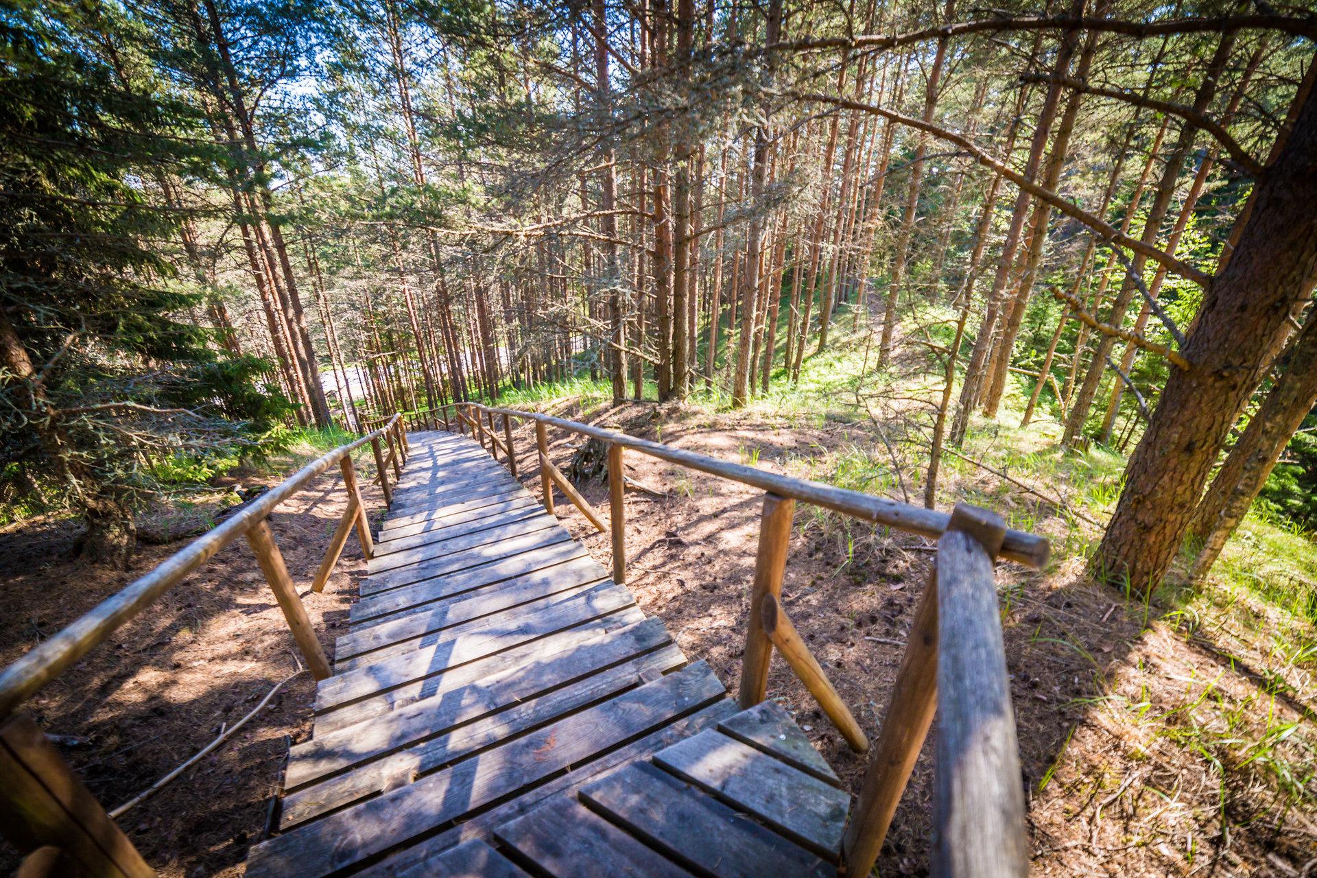 Rebastemäe hiking trail