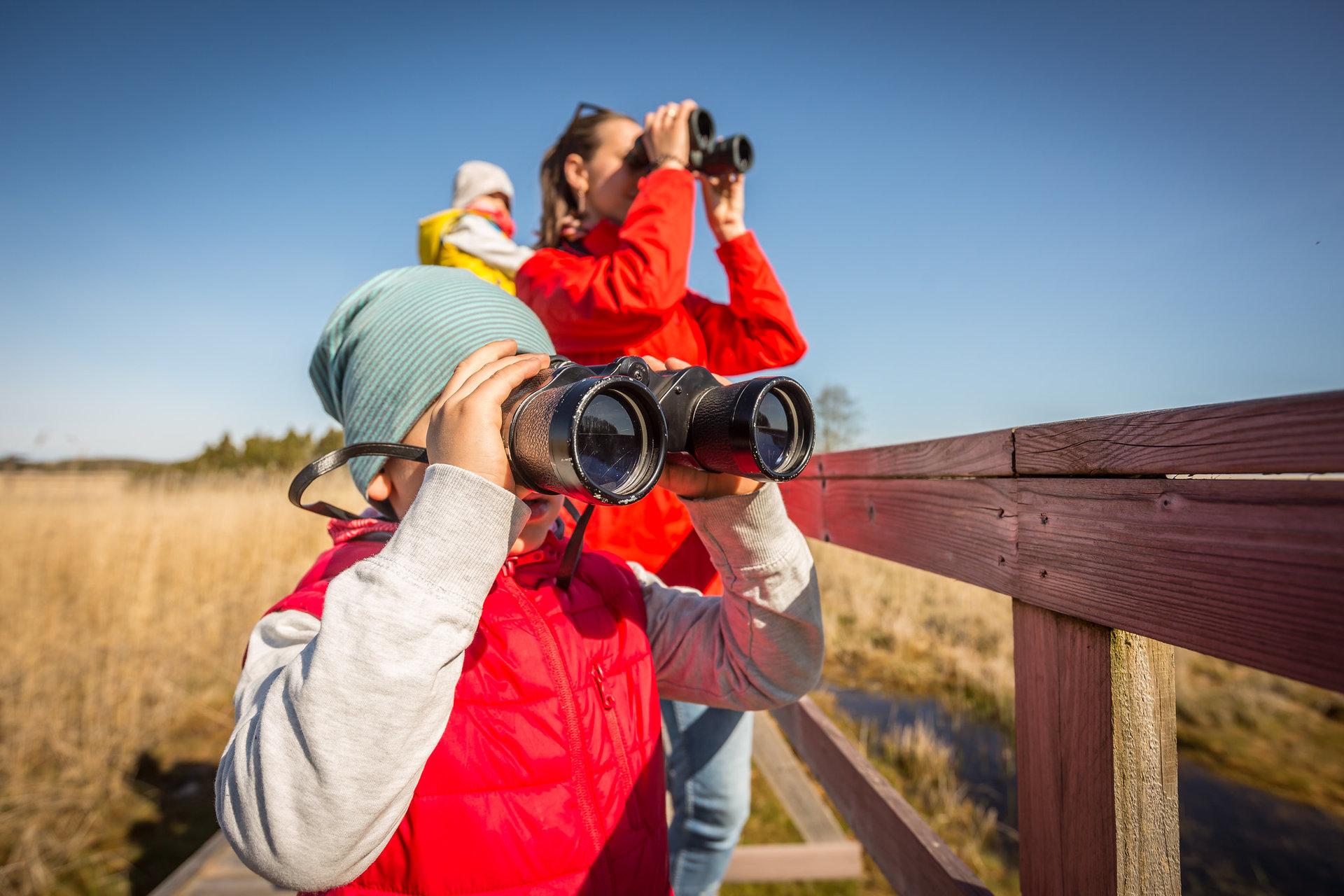 Bicycle tour in Käina-Kassari