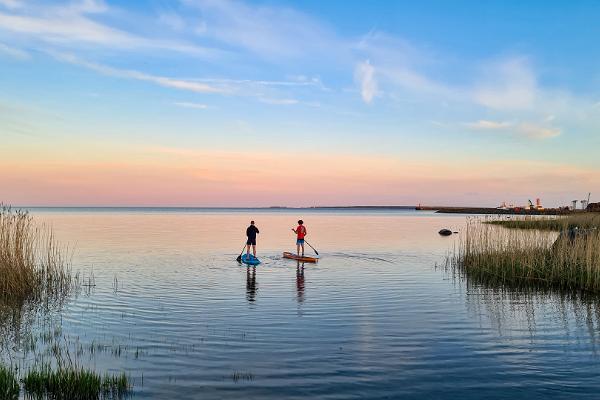 Päivän SUP-lautavuokraus Kuressaaressa