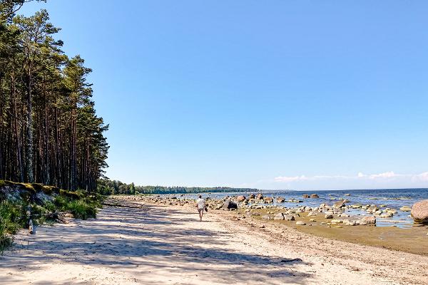 Strand in Karepa