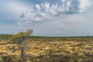 Wanderweg des Landschaftsschutzgebiets Väätsa