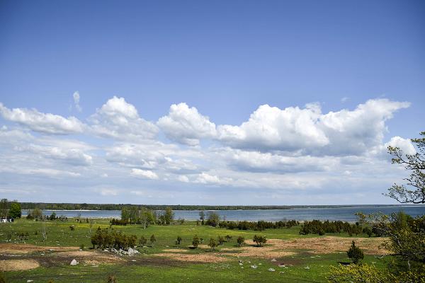 Strandwiese von Kastna