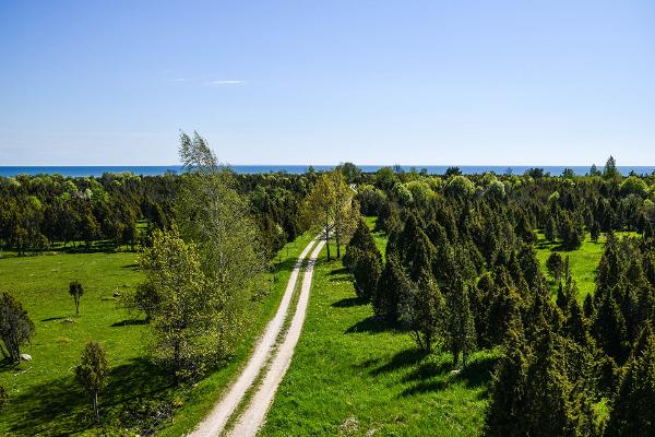 Enbestånden i Kastna