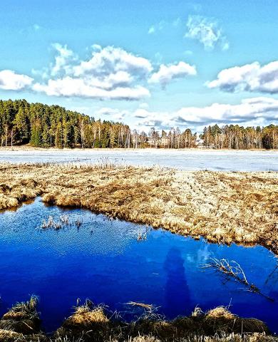 Arbi järve loodusrada talvel