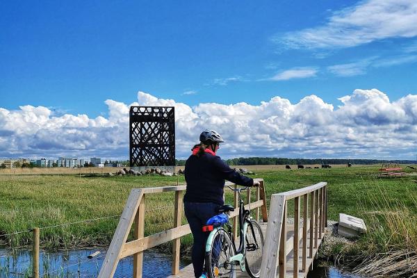 Gång- och cykelvägen vid Mai strand i Pärnu