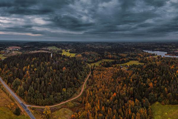 Aussichtsturm auf dem Berg Suur Munamägi