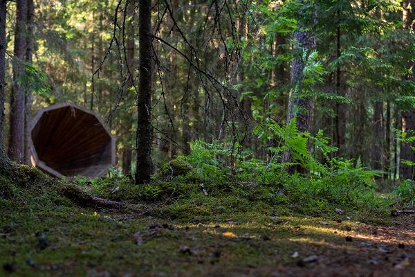 Forest megaphones in Võru County