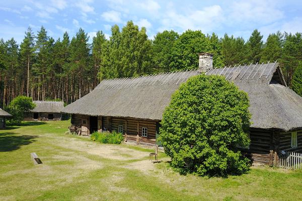 Thatch-roofed house, green grass, forest in the distance