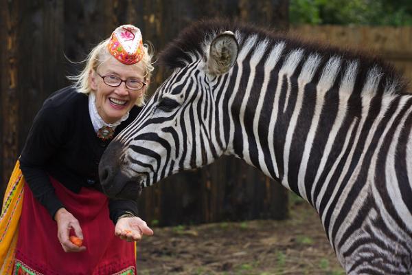 Woman feeding a zebra
