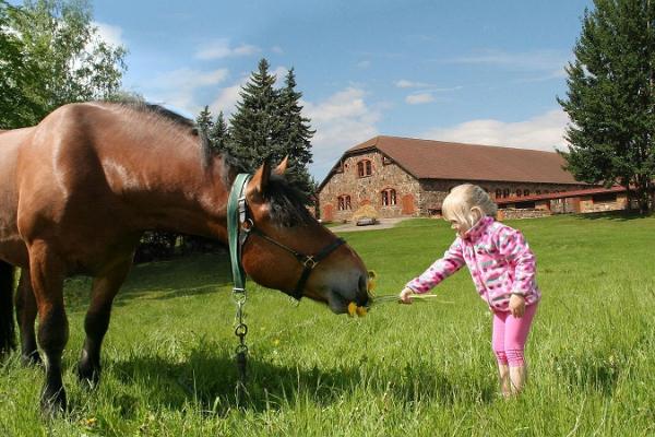 Eesti Põllumajandusmuuseum, hobune ja laps